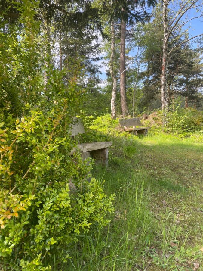Willa Haus Am Berg - Waldviertel Arbesbach Zewnętrze zdjęcie